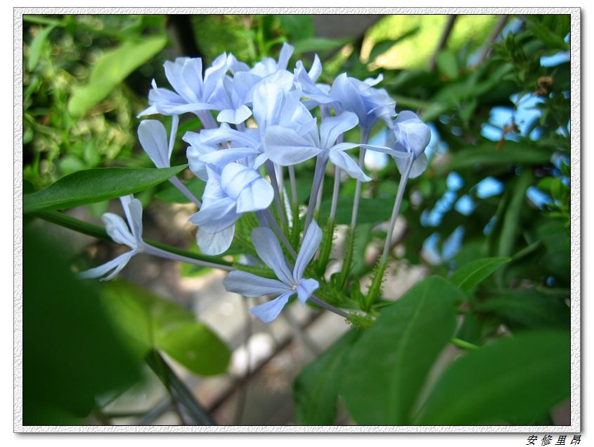 ��78�����̨(������)