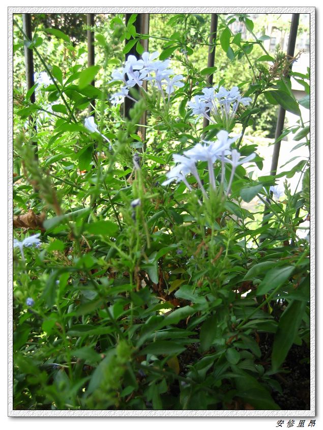 ��78�����̨(������)