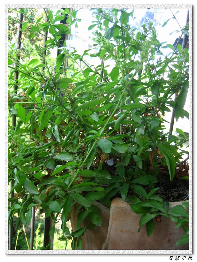 ��78�����̨(������)