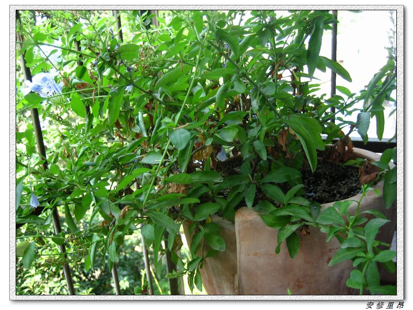 ��78�����̨(������)