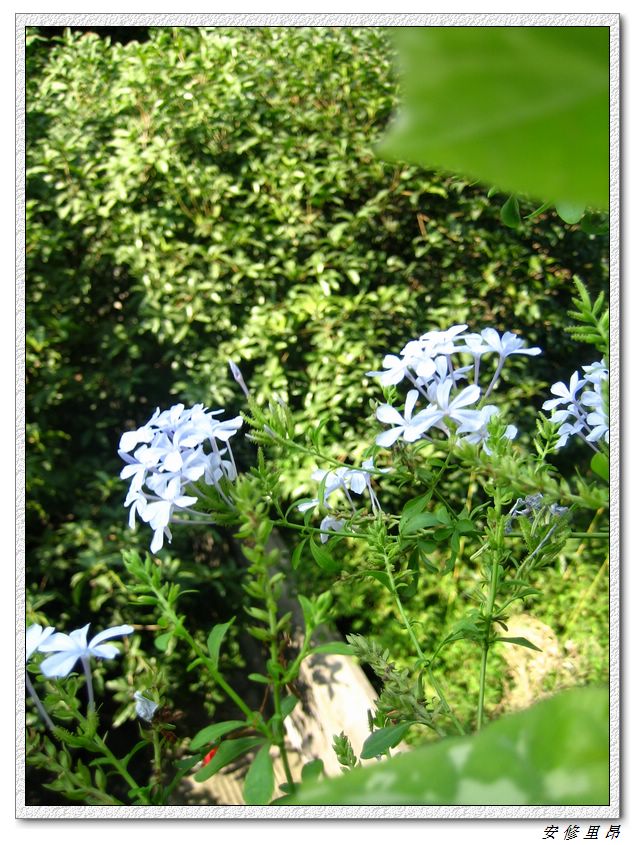 ��78�����̨(������)