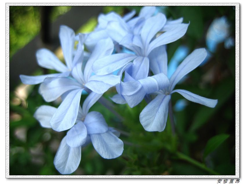 ��78�����̨(������)