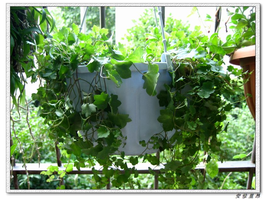 ��78�����̨(������)