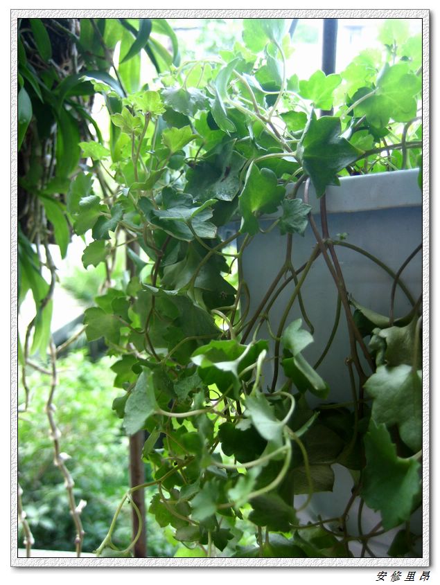 ��78�����̨(������)