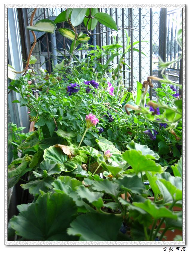 ��78�����̨(������)