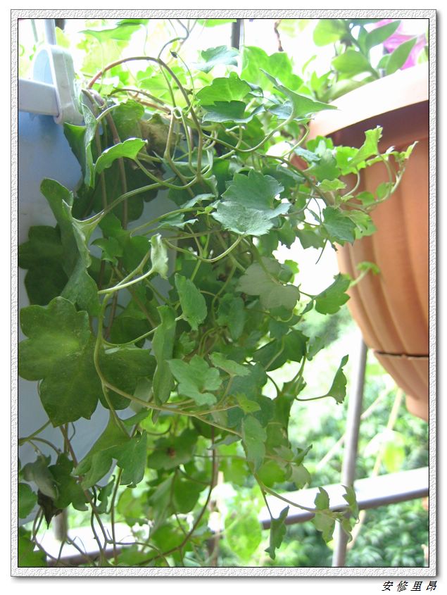 ��78�����̨(������)