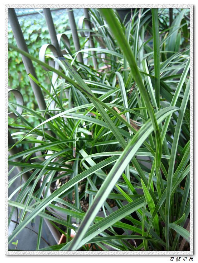 ��78�����̨(������)