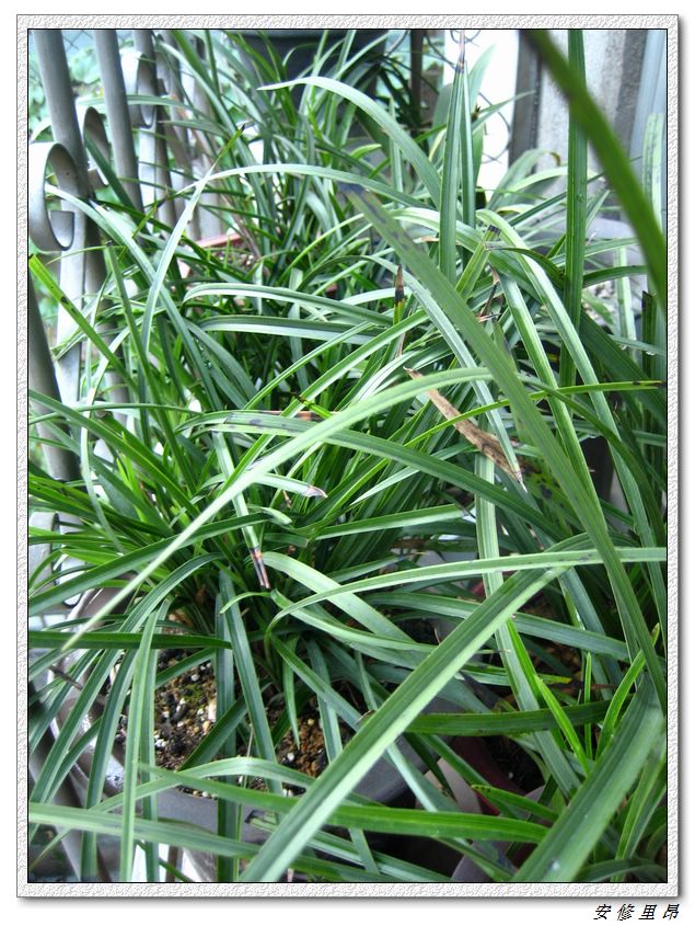 ��78�����̨(������)