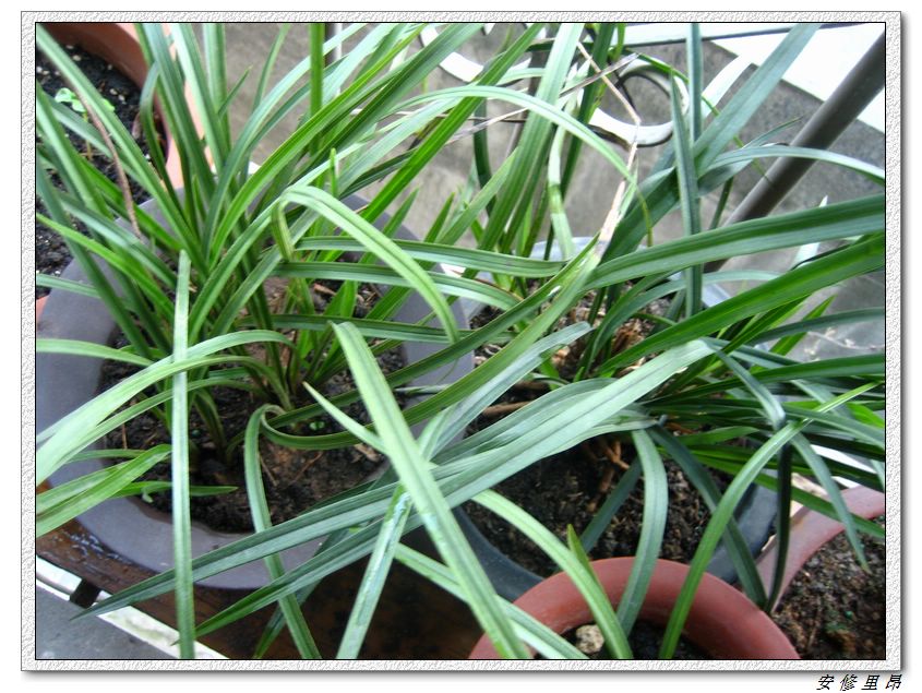 ��78�����̨(������)