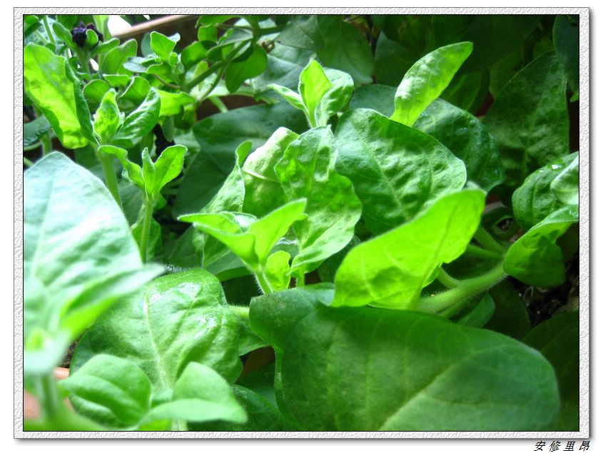 ��78�����̨(������)