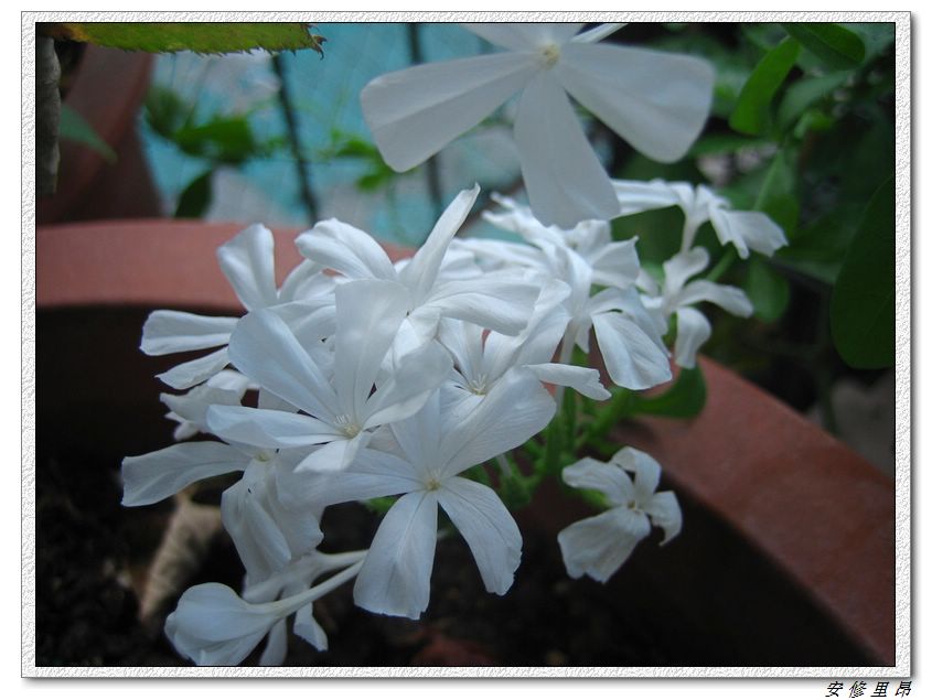 ��78�����̨(������)