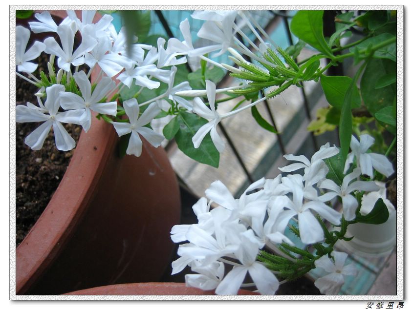 ��78�����̨(������)