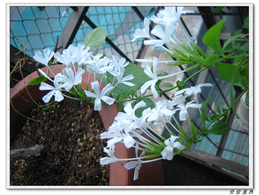 ��78�����̨(������)