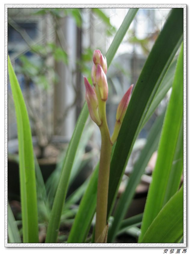 ��78�����̨(������)