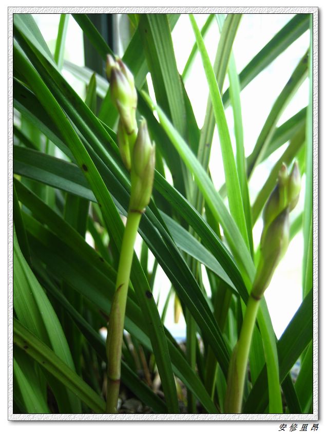 ��78�����̨(������)