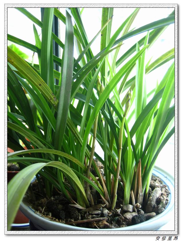 ��78�����̨(������)