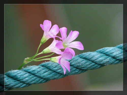 ��Ӱ��Ʒ�����������ң�8.18��ֹ