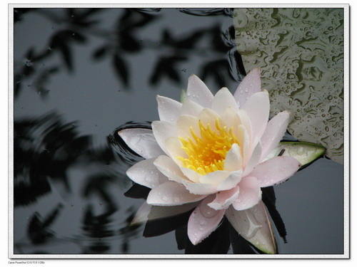 ��Ӱ��Ʒ�����������ң�8.18��ֹ