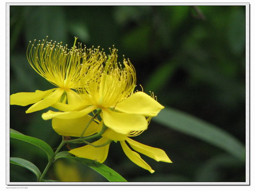 ��Ӱ��Ʒ�����������ң�8.18��ֹ