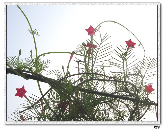 ���ܵ��¼�(��ɫ���ܿ�����)