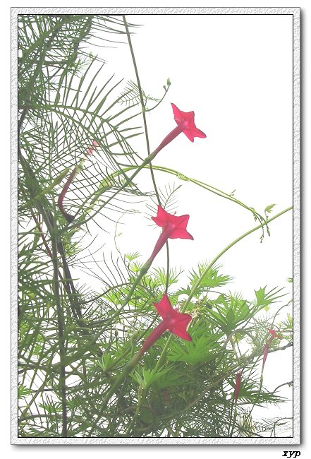 ���ܵ��¼�(��ɫ���ܿ�����)