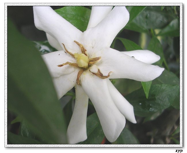 ���ڿ��Ļ�