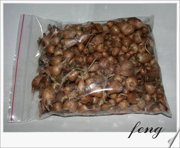 İ��һ������!(�н��)��Ʒƪ