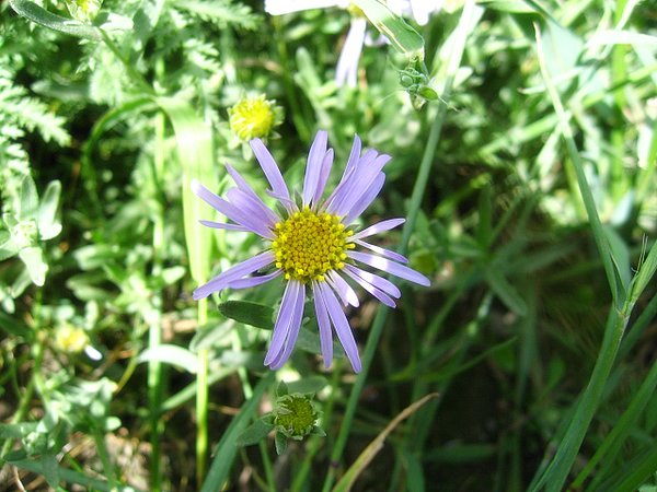 �ຣ��֮��