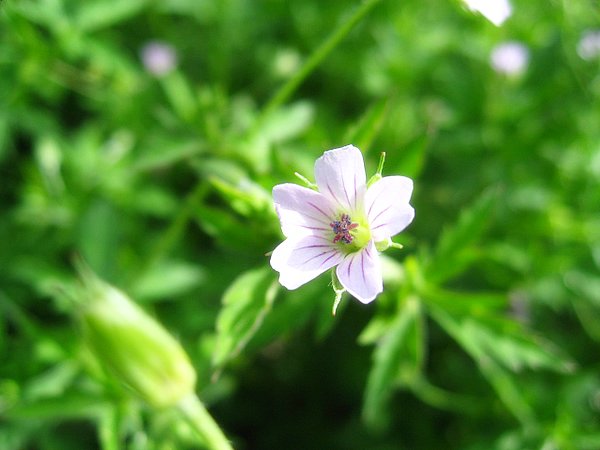 �ຣ��֮��