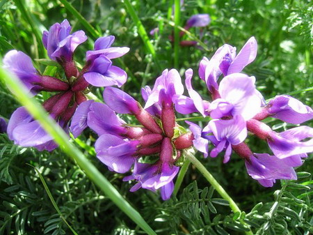 �ຣ��֮��