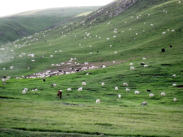 �ຣ��֮��