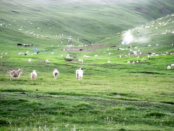 �ຣ��֮��