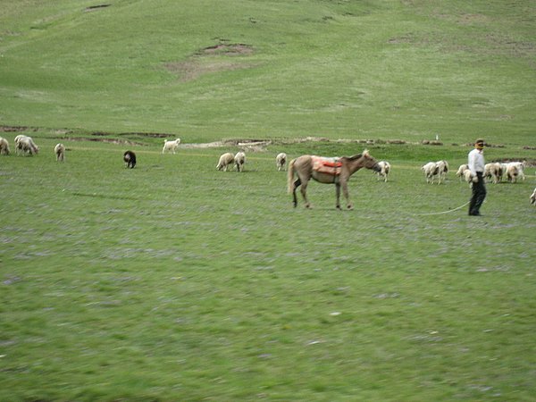 �ຣ��֮��