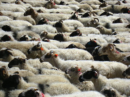 �ຣ��֮��