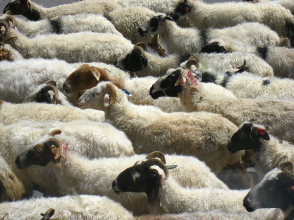 �ຣ��֮��