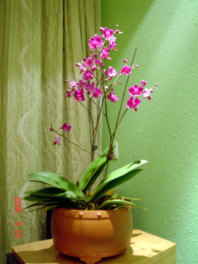 ��ʳ���������û�������(δ�����)