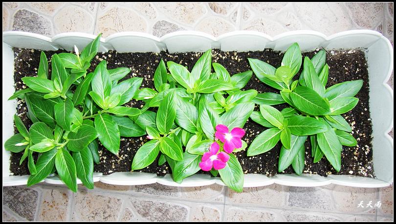 5���Ź��Ĵ����ͷ��޷��ɣ�����P3��