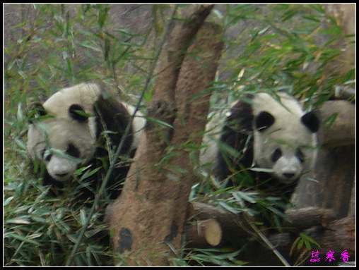 ��Ӱ��Ʒ�����������ң�8.18��ֹ