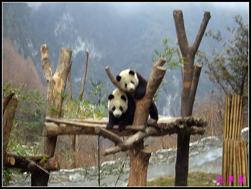 ��Ӱ��Ʒ�����������ң�8.18��ֹ