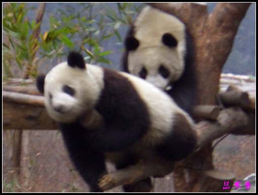 ��Ӱ��Ʒ�����������ң�8.18��ֹ