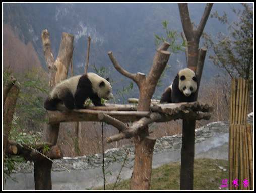 ��Ӱ��Ʒ�����������ң�8.18��ֹ