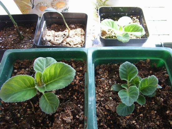 7��28�� ��ͷ16�� P2 ���� ����ͩת������ר��