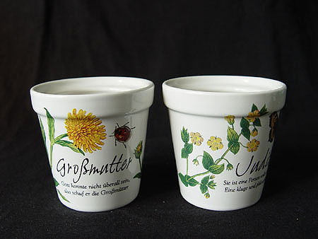 ��ʳ���������û�������(δ�����)