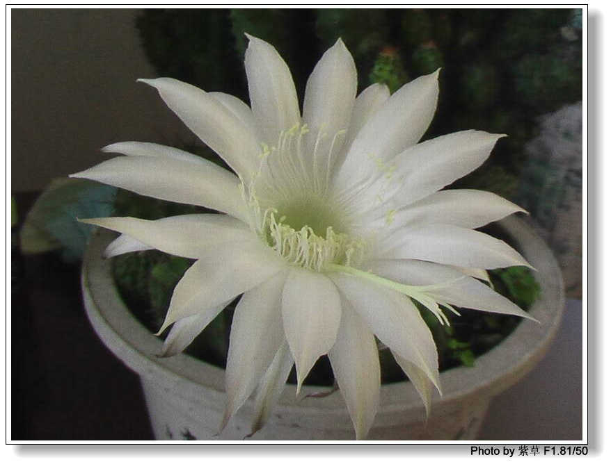 [ԭ��]�ϰ����統��ũ2006��