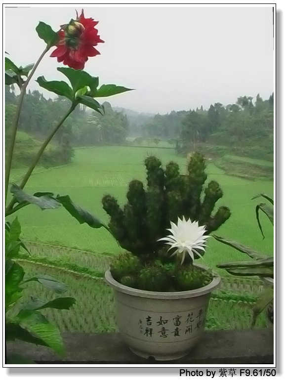 [ԭ��]�ϰ����統��ũ2006��