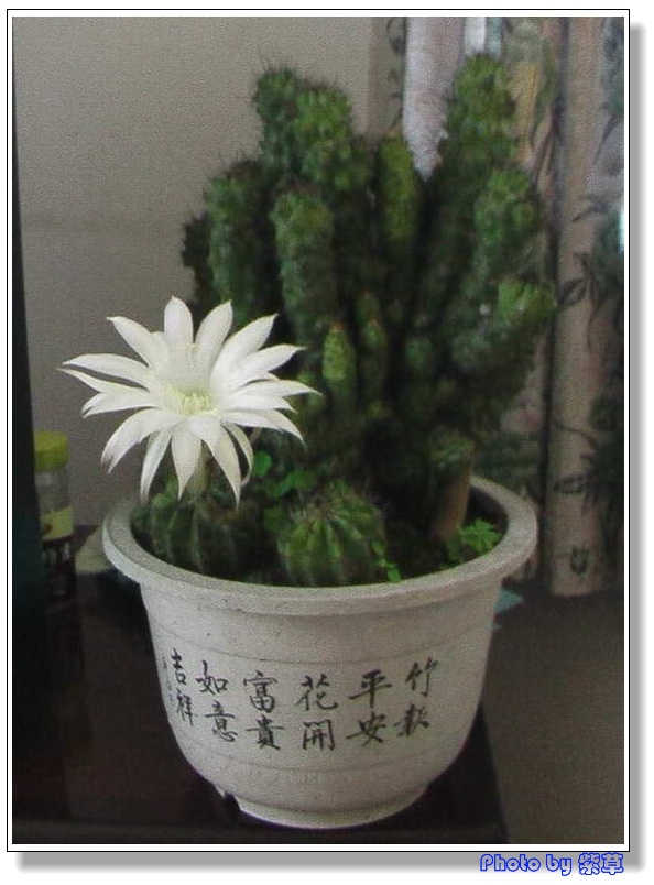 [ԭ��]�ϰ����統��ũ2006��