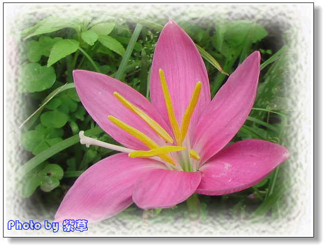 [ԭ��]�ϰ����統��ũ2006��