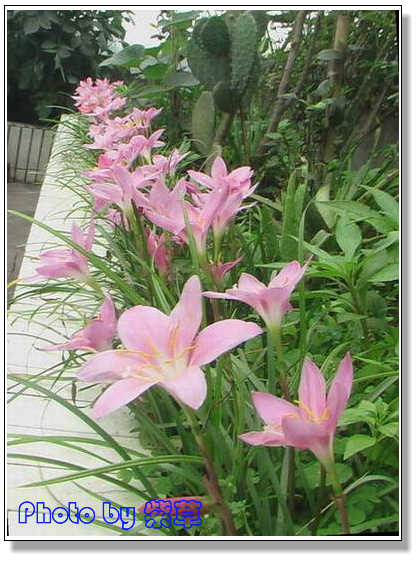 [ԭ��]�ϰ����統��ũ2006��