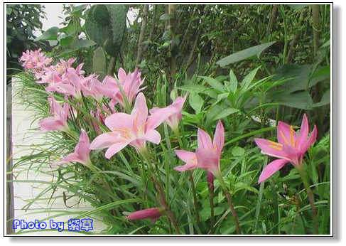 [ԭ��]�ϰ����統��ũ2006��