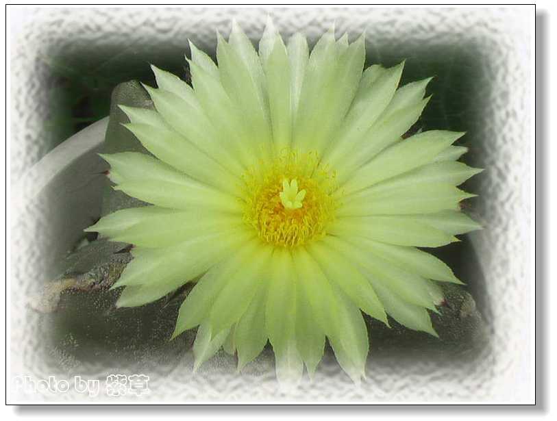 [ԭ��]�ϰ����統��ũ2006��